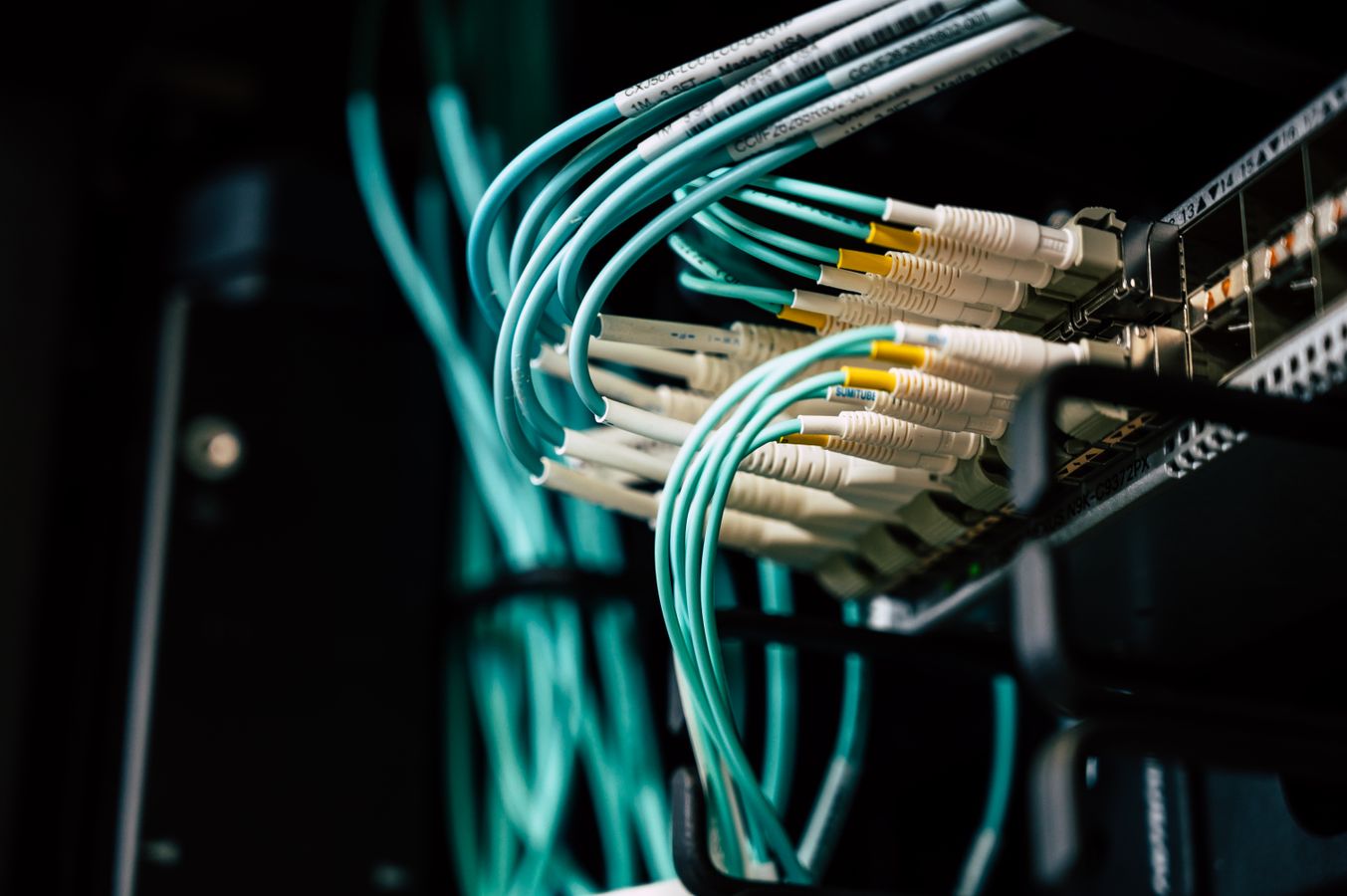 Conexiones de cableado estructurado instaladas en un servidor
